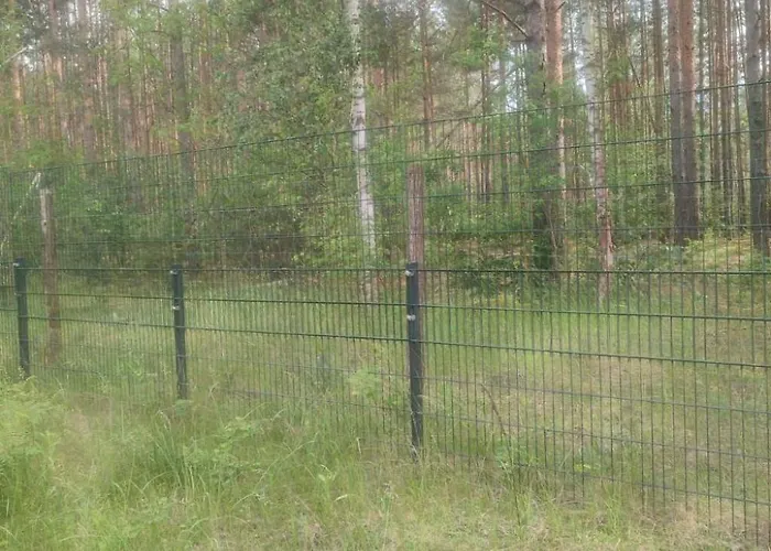 Haus Am Ostsee By Interhome * Cottbus